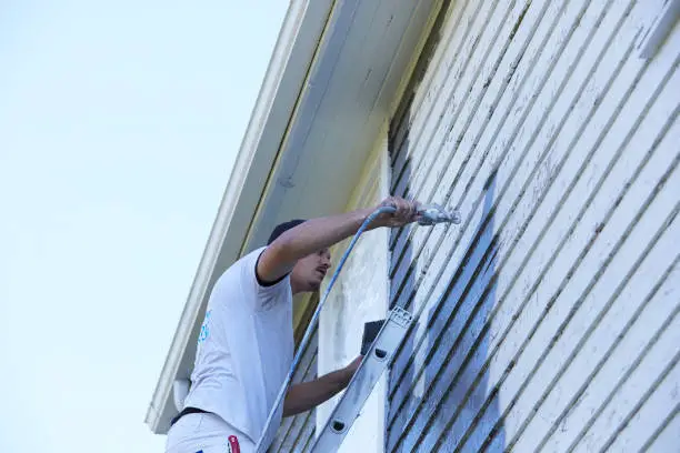 paint and stain services near me