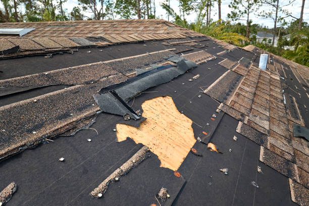 Experienced roofer examining decking and flashing condition before full residential roof system replacement